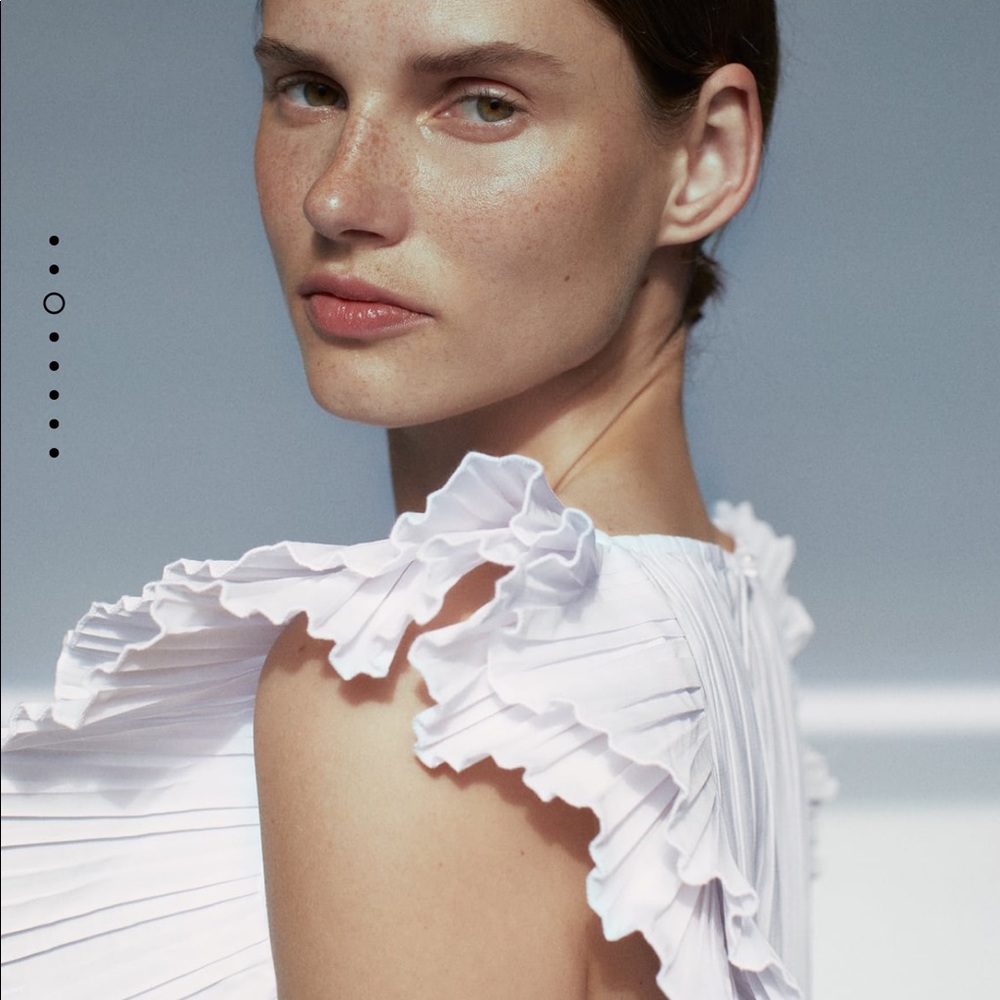 Zara pleated dress bloggers favorite - Picture 11 of 13